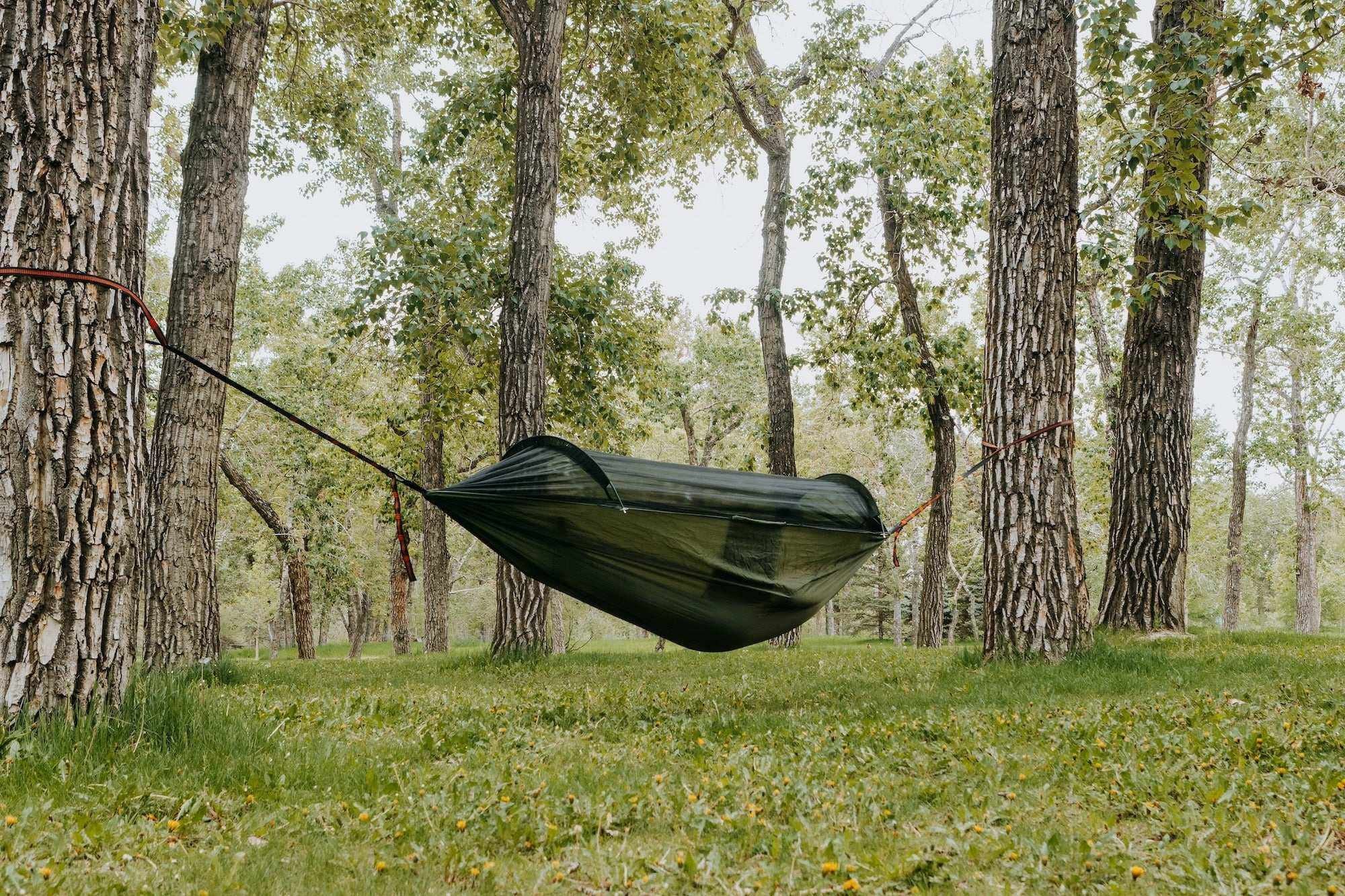 Portable Camping Hammock with Mosquito Net